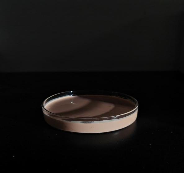 微信圖片_20250428113225